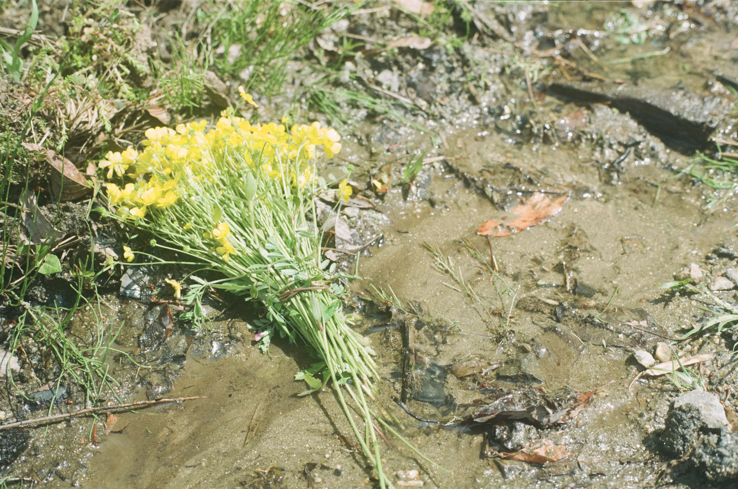 A Quiet Erosion