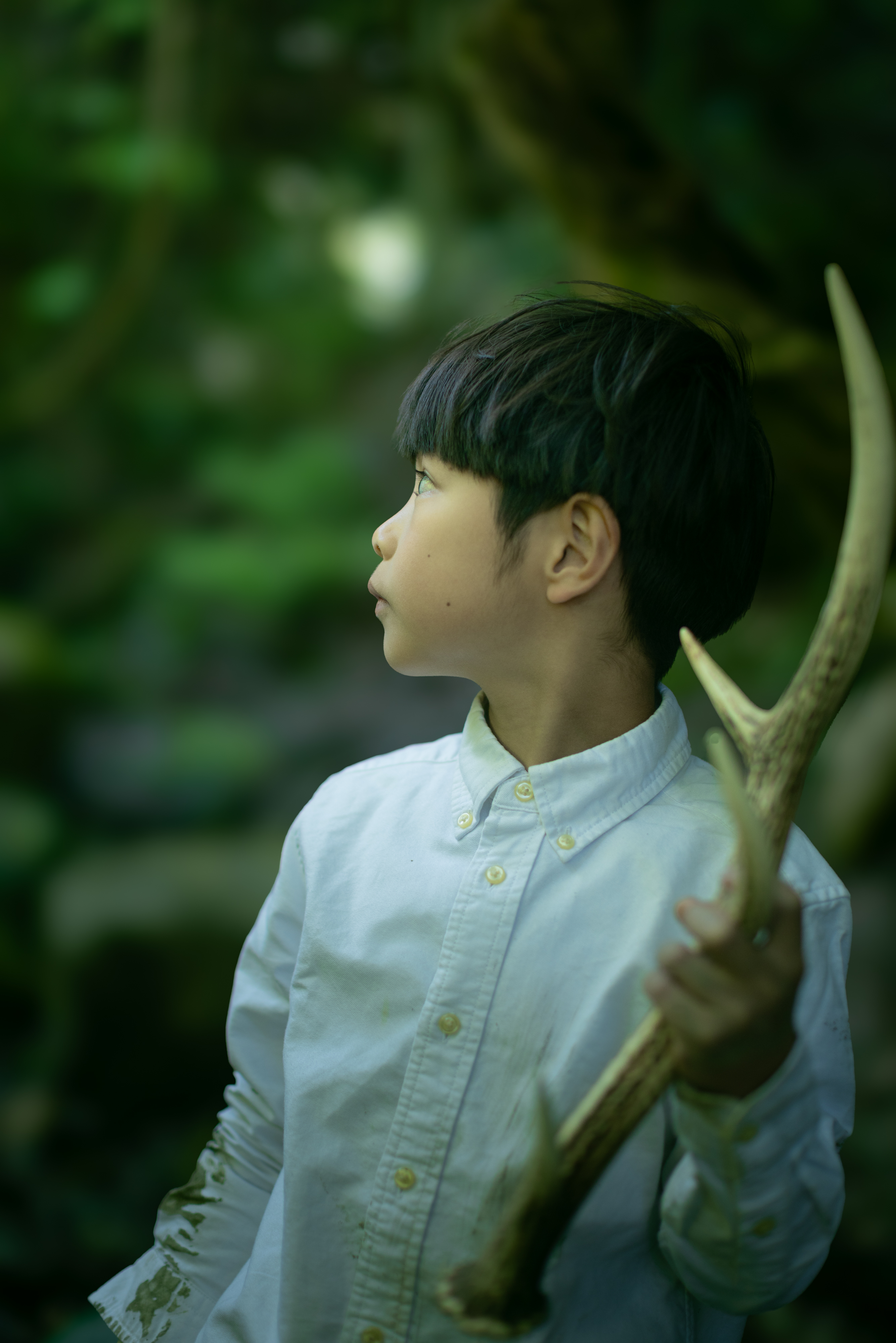 Antlers - 3