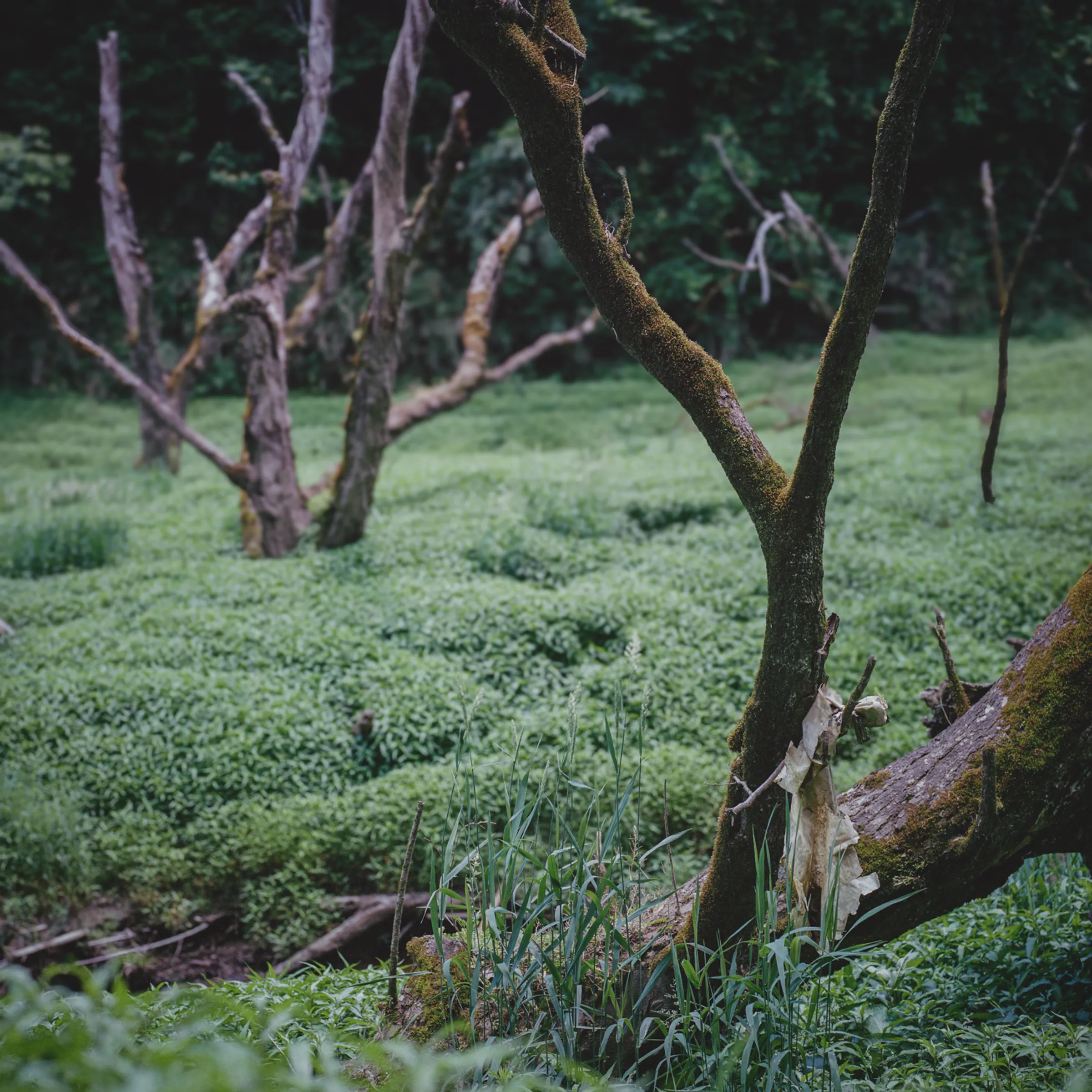 A Quiet Erosion